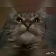 Кит Ты Маму Мав 10 Часов