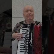 Цветок Души Мелодия Гармонь