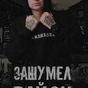 Зашумел Район Ремикс