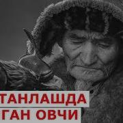 Дустинг Ахмок Булса Улдиради Таъсирли Хикоя