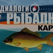 Песня Про Рыбалку Судачка Бы Мне Да Карасика