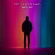 Died In Your Arms Oneil