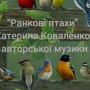 Қамқор Болайық Музка