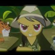 Rainbow Dash I M An Egg Head