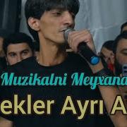 Bu Qis Havali Konlumun