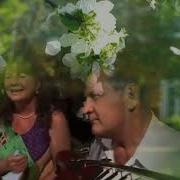 Кружет Голуву Мне Вишня