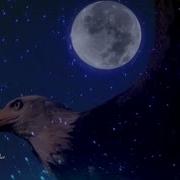 Leo Rojas Watch Over My Dreams