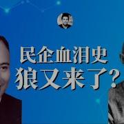 中国民企血泪史 狼又来了