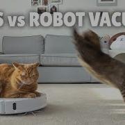 Robot Stofstuiger Kat
