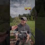 Семиз Булса Маззада