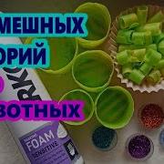 Смешные Истории Про Животных