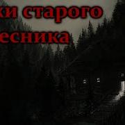 Байки Старого Лесника