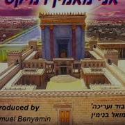אני מאמין רמיקס