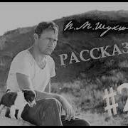 Шукшин Рассказы Аудиокнига 2