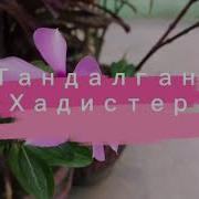 Кыргызча Хадистер