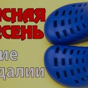Синие Сандали Куплеты Красная Плесень
