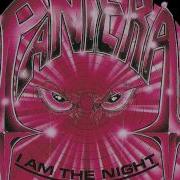 Right On The Edge Pantera