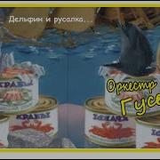 Красивые Мелодии С Морем И Дильфинами