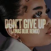 I Wont Give Up Remix