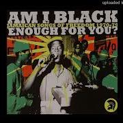 The Chosen Few Am I Black Enough For You