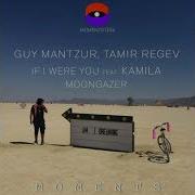 Guy Mantzur Tamir Regev If I Were You