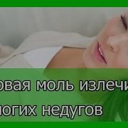 Восковая Моль Излечивает От Многих Недугов