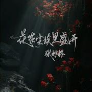 花在尘埃里盛开 张妙格