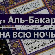 Бакара Всë Ночь