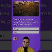 Викторина Скрипка