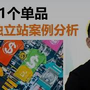国外商业案例