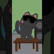 Not This Song Again Animation Cat Chipichipi