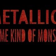 Some Kind Of Monster
