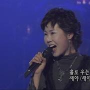 바다새 바다새