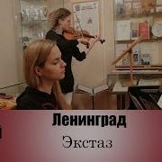 Ленинград На Скрипке И Пианино