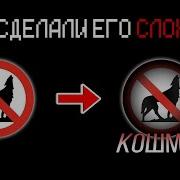 Ты Сама Лучшая В Мире