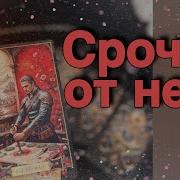 Подпишись На Мой Тик Ток