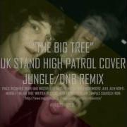Big Tree Dnb Jungle