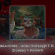 Псы Попадут В Рай Slowed Reverb