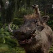 Timon And Pumbaa Mighty Jungle