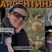 Городской Мотив