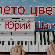 А Лето Цвета Неба На Синтезаторе