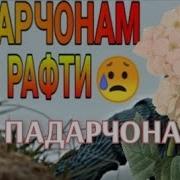 Собирчон Хомидов Маро Танхо Монди