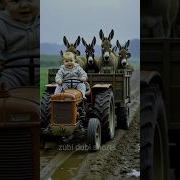 Дуди Дуди Дам