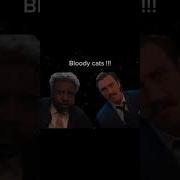 Tom And Jerry Meme Tik Tok