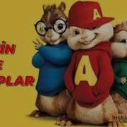 Alvin Ve Sincaplar Le Evine