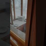 Два Тула Комната