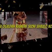 Кайси Угилдан Камдир Кизингиз