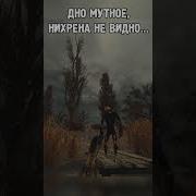 Дно Мутное Нихрена Не Видно