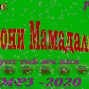 Мираез Модар