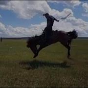 Мастер Класс По Обучению Диких Лошадей От Монгольской Группы
